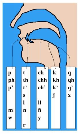 Aymara points of articulation